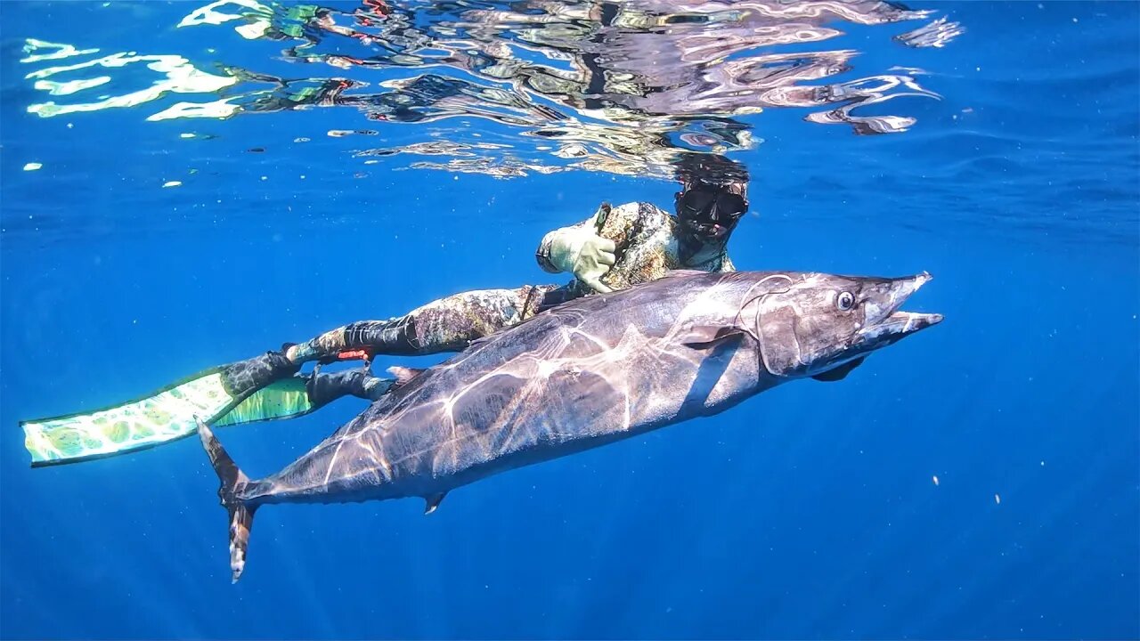 Wahoo Everywhere, Biggest Fish of My Life! Panga Spearfishing Wahoo in Texas!