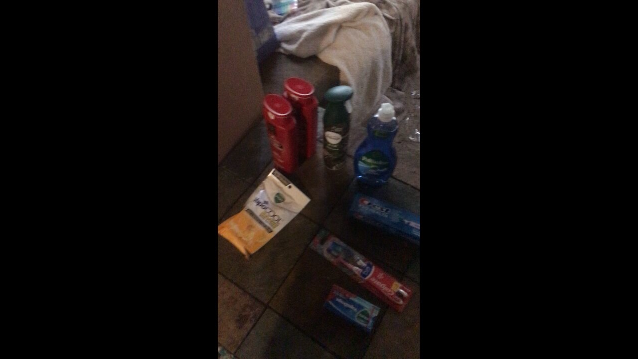 Saturday Dollar Gentral Haul