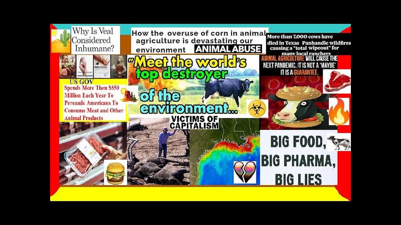 The Beef Cattle Meat Industry (DEEP-DIVE) Big Pharma, Capitalism, Pollution, True Crime