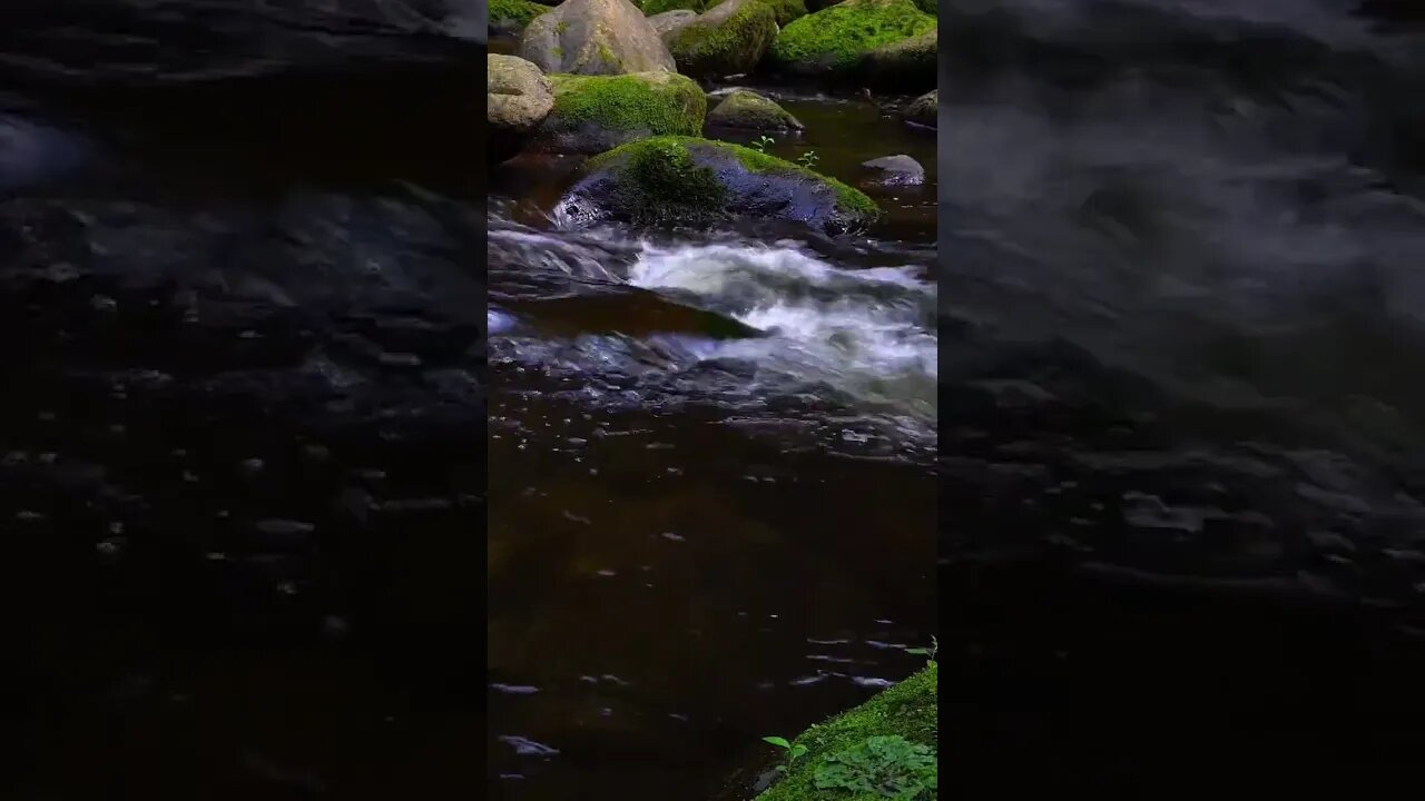 INCREDIBLE RIVER SOUND #universe #nature #calm #relaxing #shorts