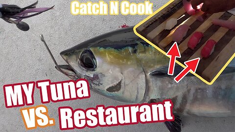 MY Tuna VS Restaurant Tuna | Fishing Catch and Cook