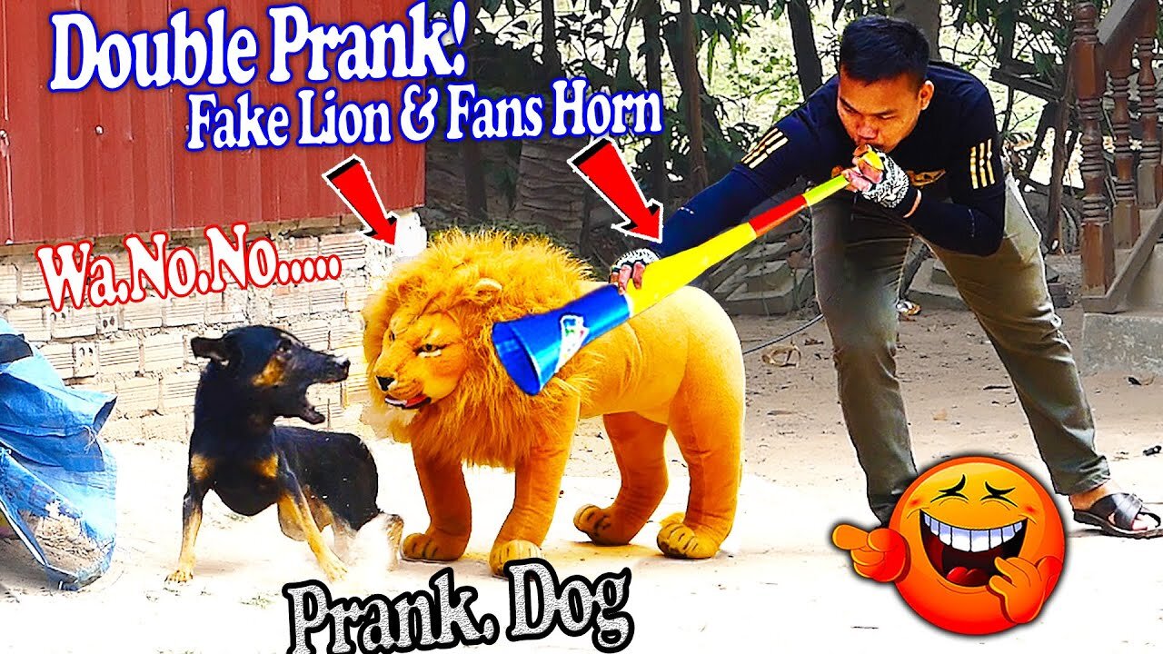 Wow Nice 2 Dogs Pranks___ Fake Tiger Prank Dog So Funny Dog Try To Stop Laugh Challenge