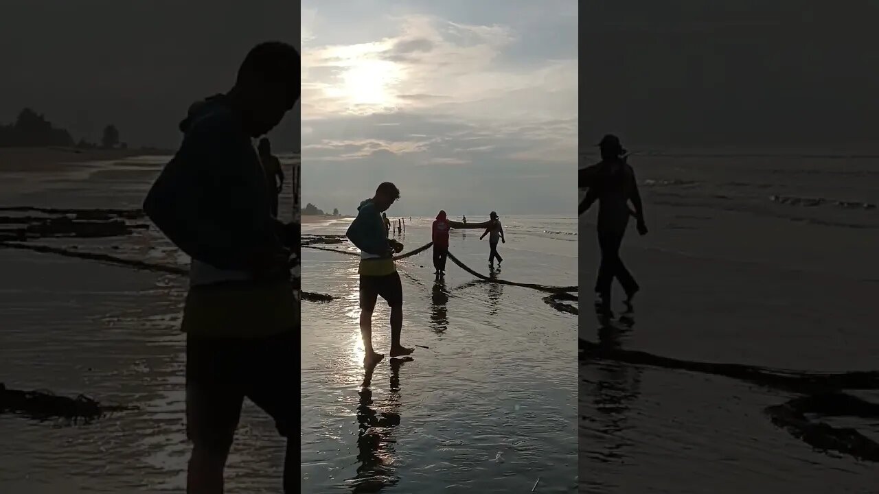 Menggulung jaring pukat kembali #traditionalfisherman #fish #nelayan #fishingnets