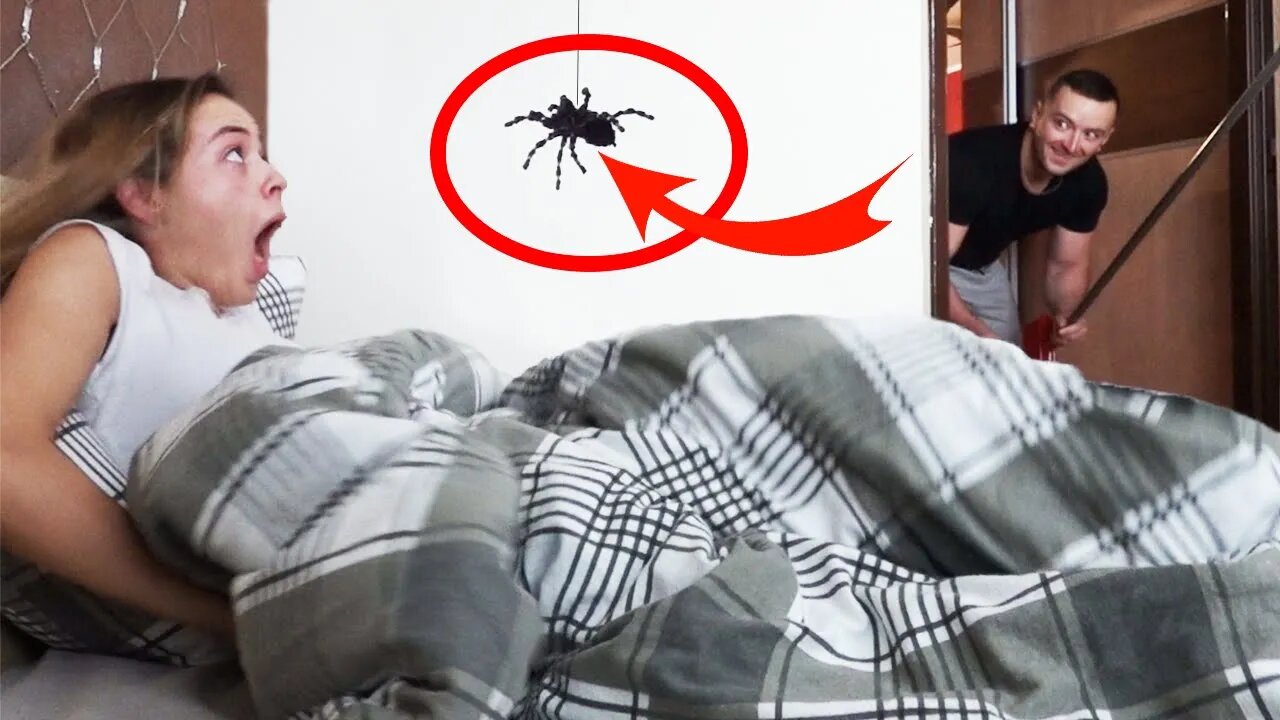 TARANTULA PRANK-Her Reaction was Priceless