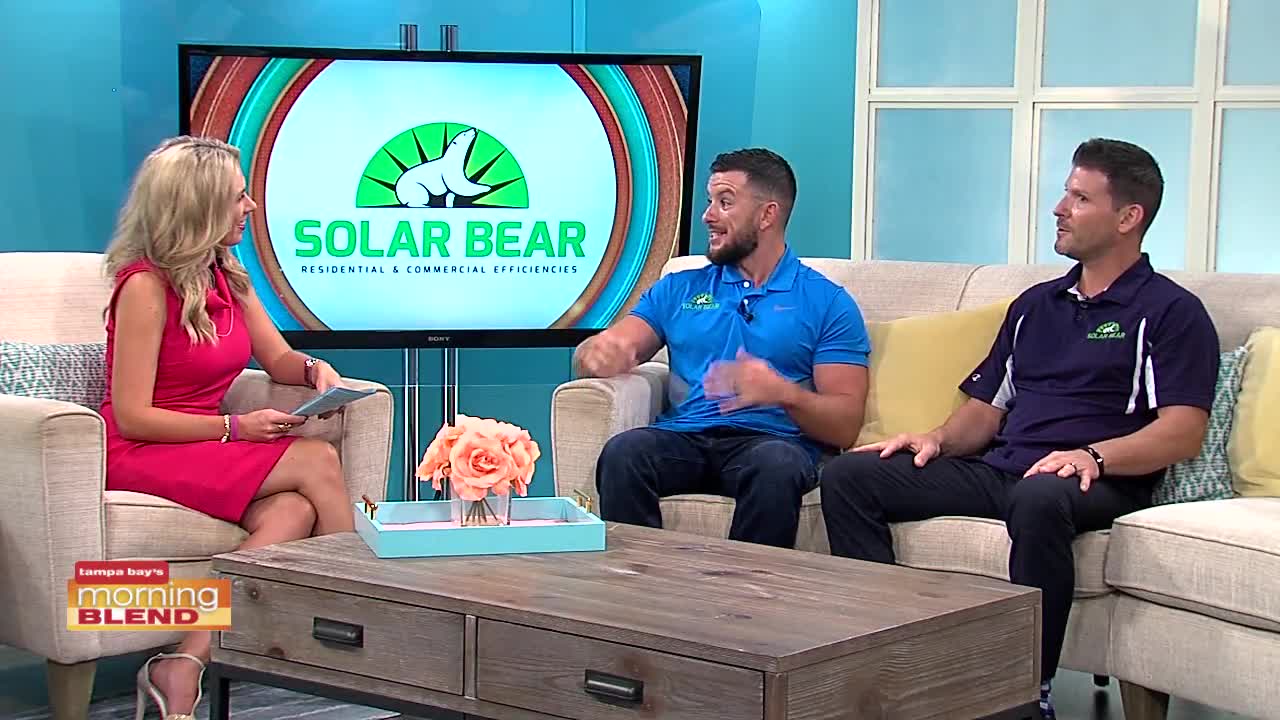 Solar Bear | Morning Blend