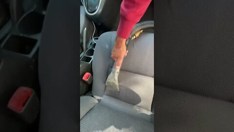 Dogs and cars don’t mix