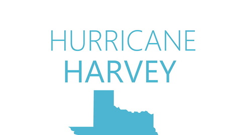 The Hurricanes
