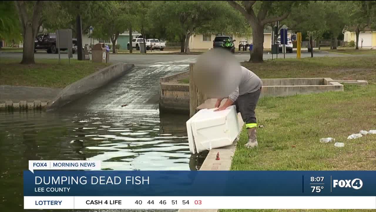 FWC warns against fish dumping