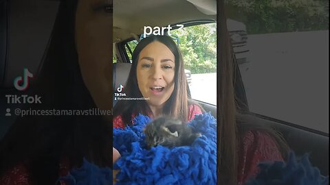 Rescue kitten pick up part 3