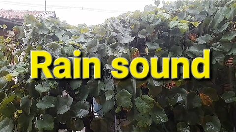 Rain sound to relax and sleep