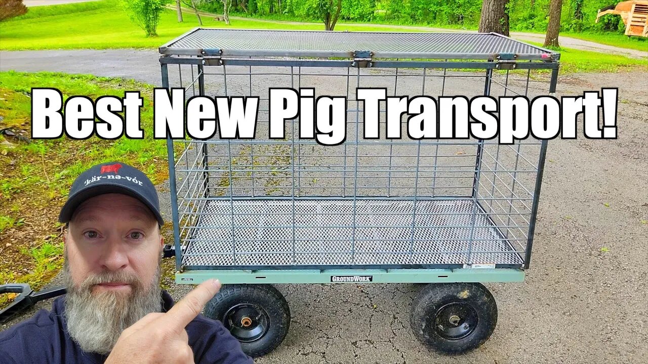 I Built a Piglet Transport Cart @UncleTimsFarm