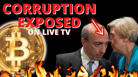 Gary Gensler and Elizabeth Warren BURNED on LIVE TV For Blatant Corruption In The Crypto Space