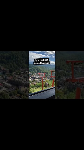 Up in the Great Smoky Mountains!