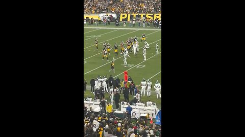 At the Steelers game, a woman sprinted across the field holding a Pro-Trump sign