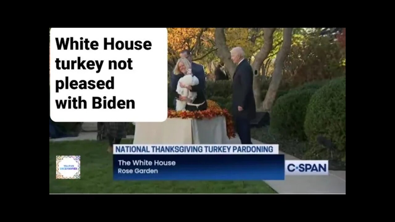 Turkey talk not just coming from Biden