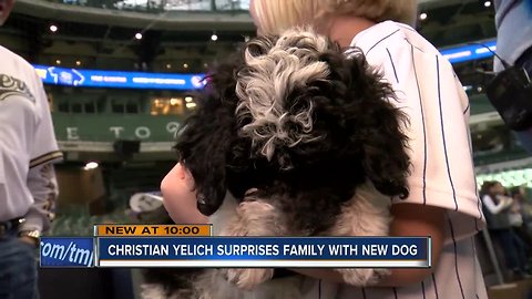 Milwaukee Brewers Christian Yelich helps dad make good on promise for puppy