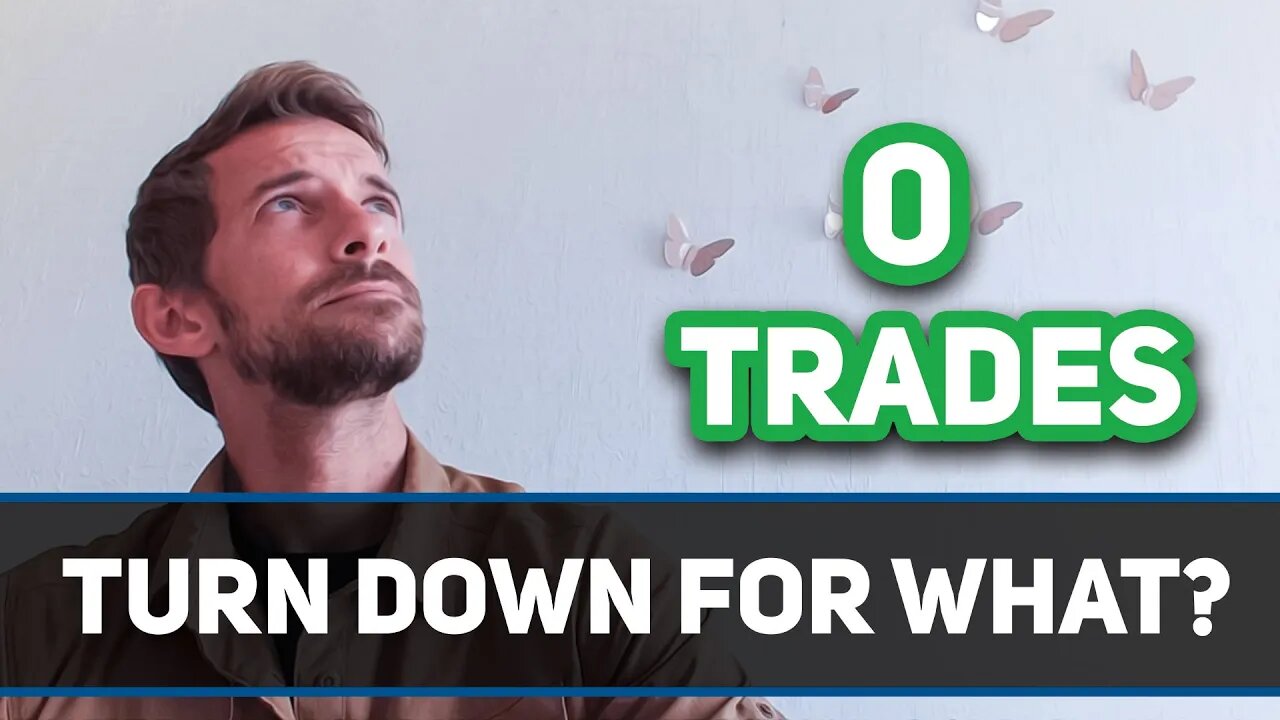 Watching Bears Get PUNISHED | Daily Profile Show