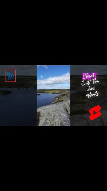 Check Out The View #shorts