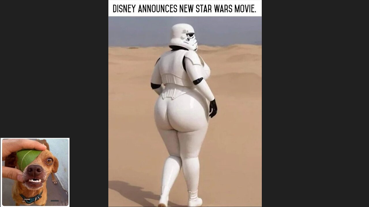 Memes That Will 99.926% Make You Laugh. (e151)