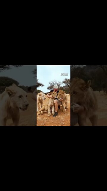 Mike Tyson Talks About His Ex-Tiger Pet