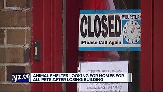 Animal shelter looking for homes for all pets after losing building