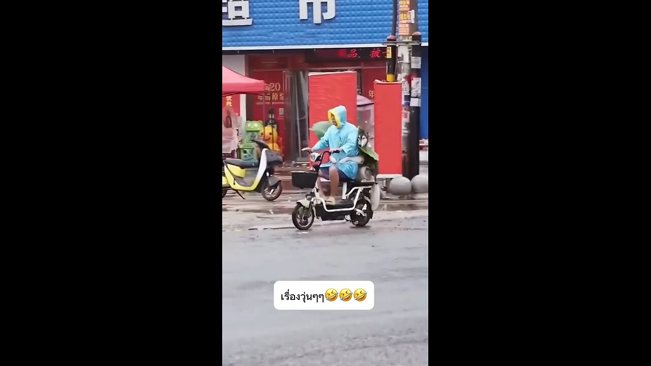 who's the driver?🐶