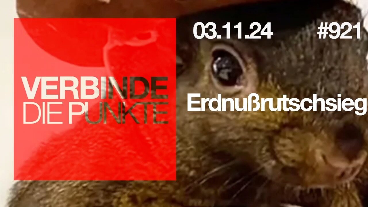 Verbinde die Punkte 921 - Erdnußrutschsieg vom 03.11.2024
