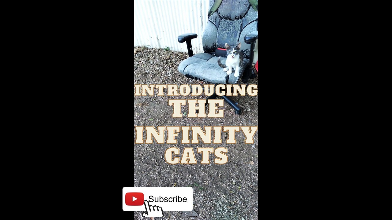 Introducing the Infinity Cats