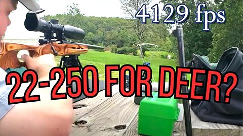 Is 22-250 Remington good for whitetail deer?