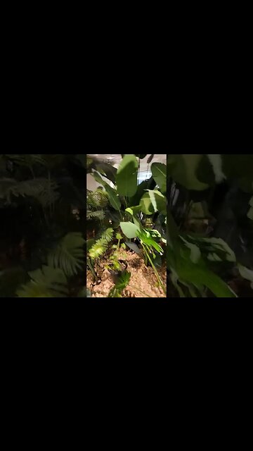 서울 디지털 플ㅇ라자온실