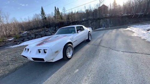 Firebird walk-around#transam#firebird#2ndgeneration#musclecar#v8#350chevy#turbo350#holley#msd