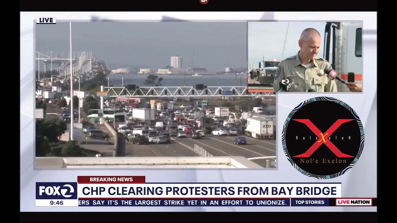 Professional - Hamas Sympathizers On Bay Bridge Throw Their Car Keys Into Water