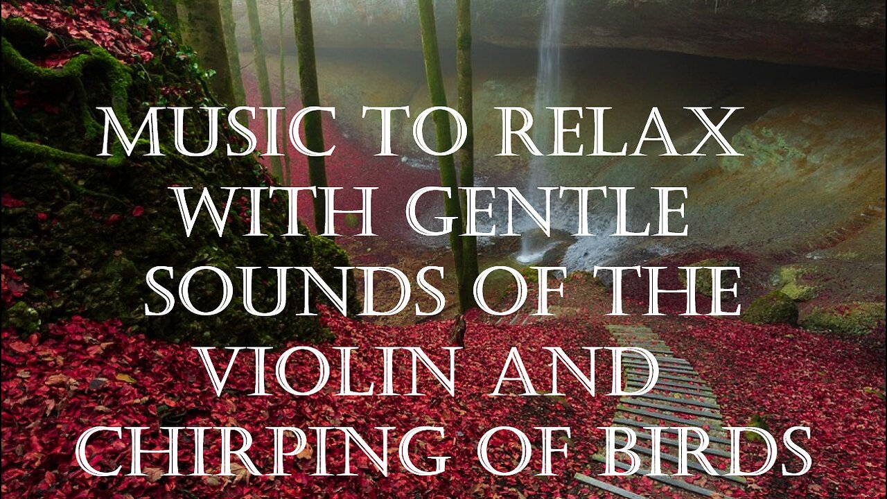 Music to relax with gentle sounds of the violin and chirping of birds