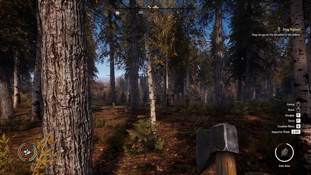 I have Morning Wood!