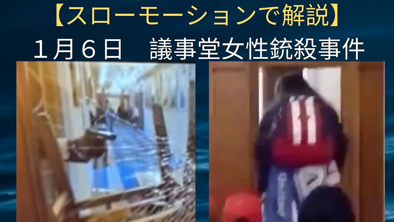 Ashli Babbitt's petition site was created before the riot!!, Blood glue work involving the police with Slow Motion, 議事堂襲撃の前日に嘆願書サイトが作られていた、警察も関わる血のり工作のスローモーション