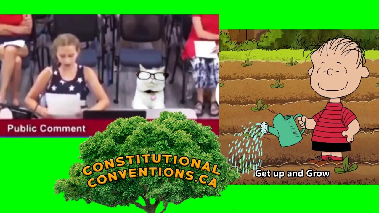Get up and grow, ConstitutionalConventions.ca