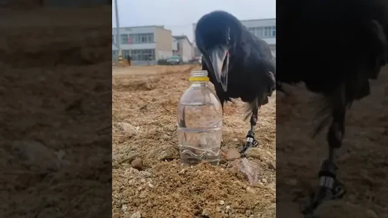 So smart!