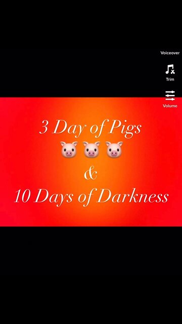 Mr Pool Decodes & Time Stamps