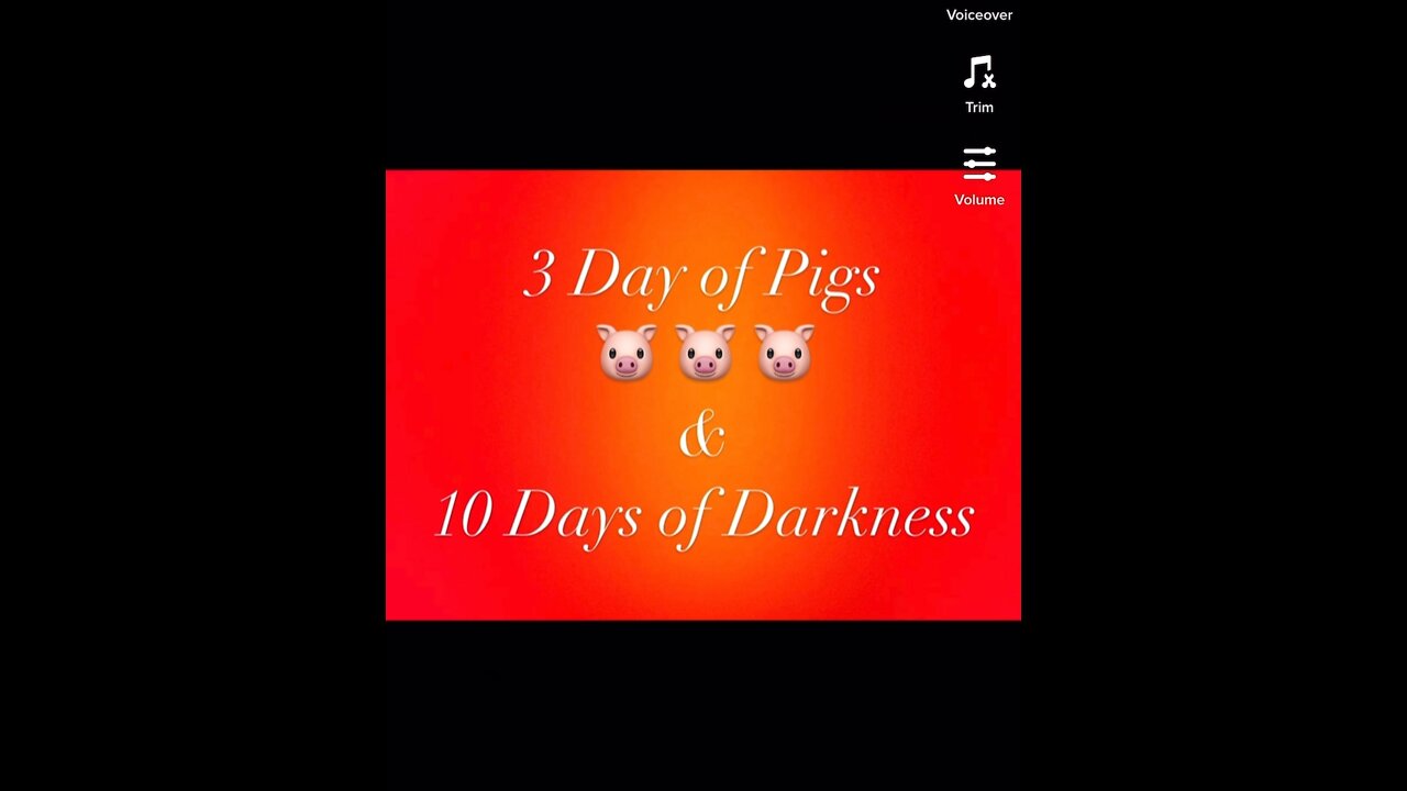 Mr Pool Decodes & Time Stamps