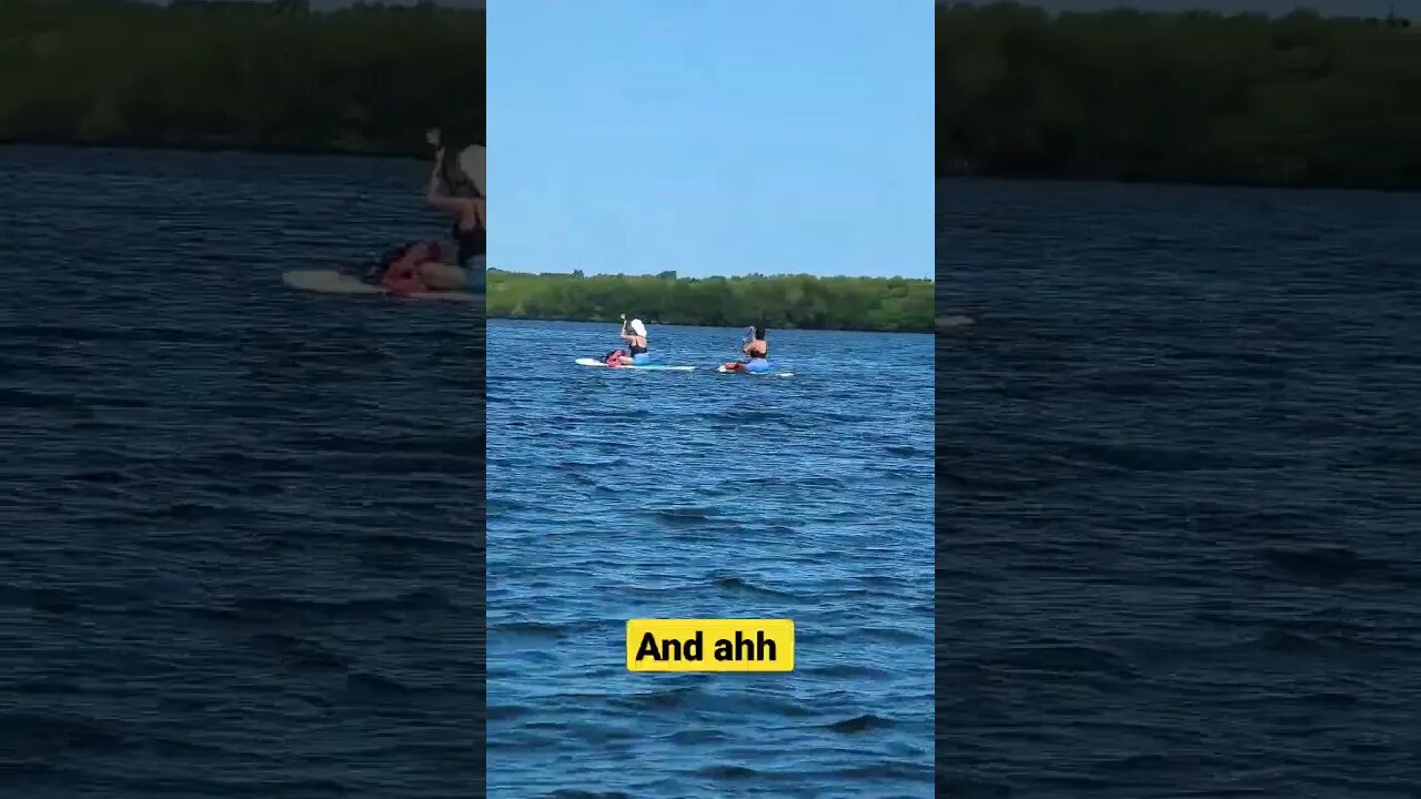 lazy kayaking at its finest
