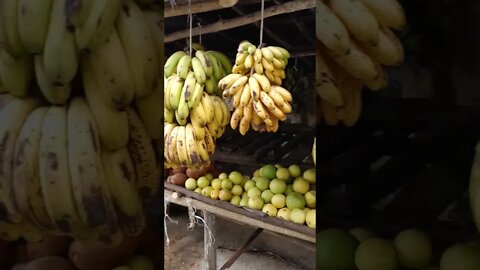 Caribbean street fruit sellers