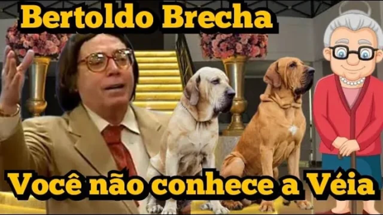 Escolinha do Professor Raimundo; Bertoldo Brecha, Você não conhece a véia 😂😂😂