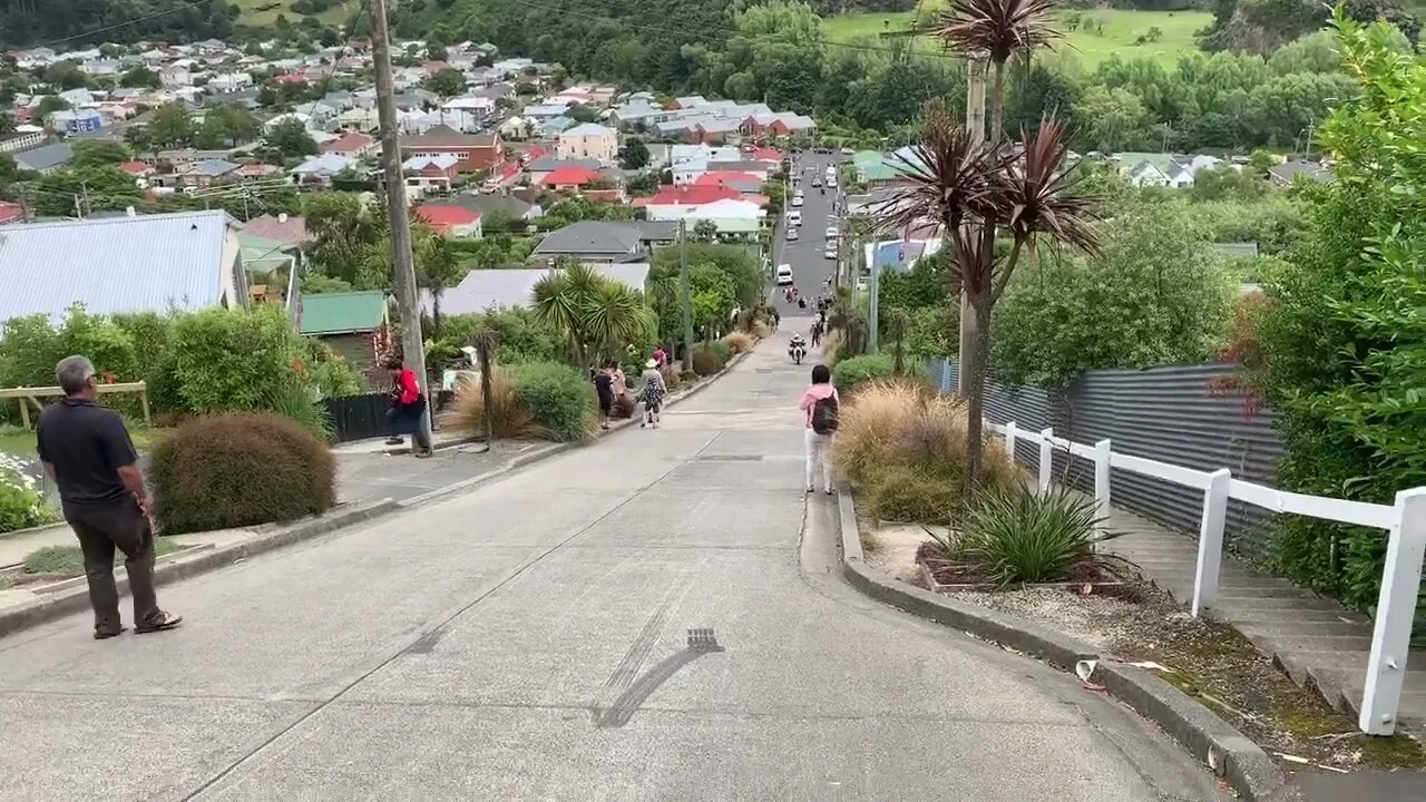 Steepest road in the world (?)