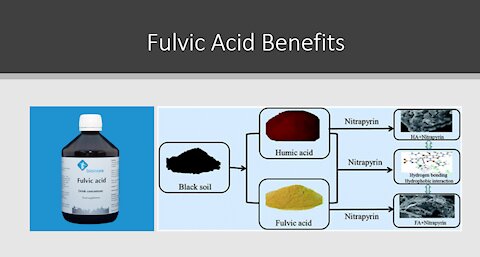 Fulvic Acid Benefits