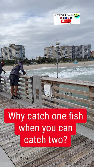#floridalife #floridafishing #fishing #florida #fishinglife