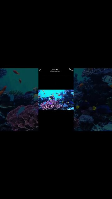 Most fish can see in color and use colors to camouflage themselves/defend themselves #fish #shorts