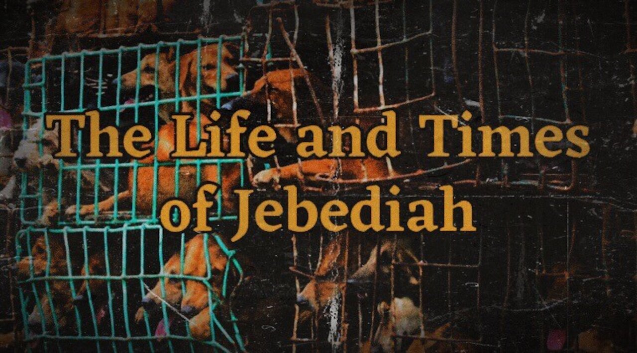 The Life and Times of Jebediah