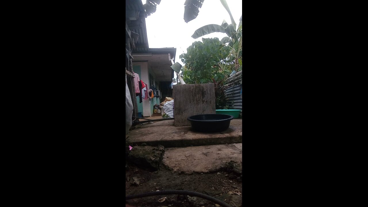 ligo time na mingkay