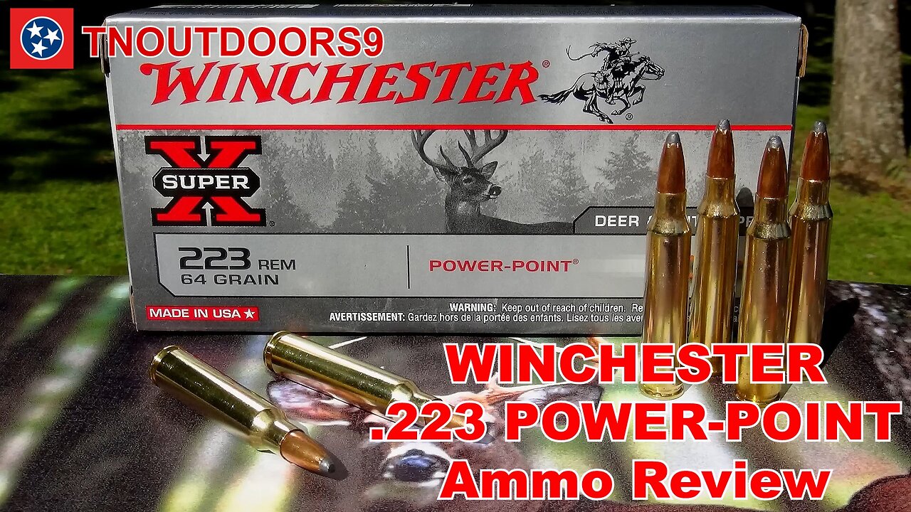 .223 Winchester POWER-POINT Ammo Review