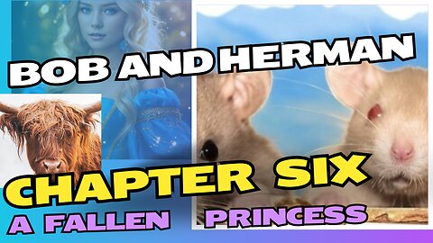 BOB AND HERMAN. CHAPTER 6. A FALLEN PRINCESS.